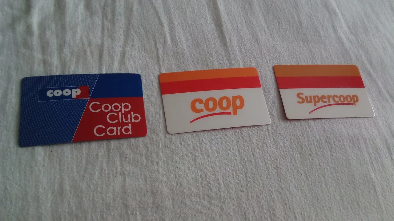 Co-branded Grocery Cards vs Flat Cashback Cards: Which Earns More on Food
