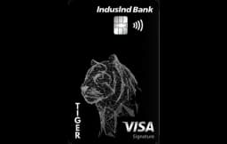 IndusInd Bank Tiger Credit Card card art